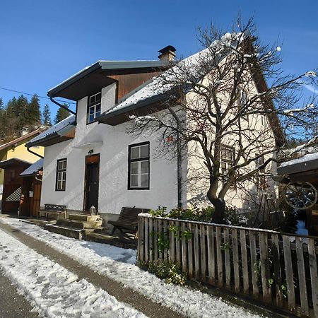 Hisa Hortenzija Luče Zewnętrze zdjęcie