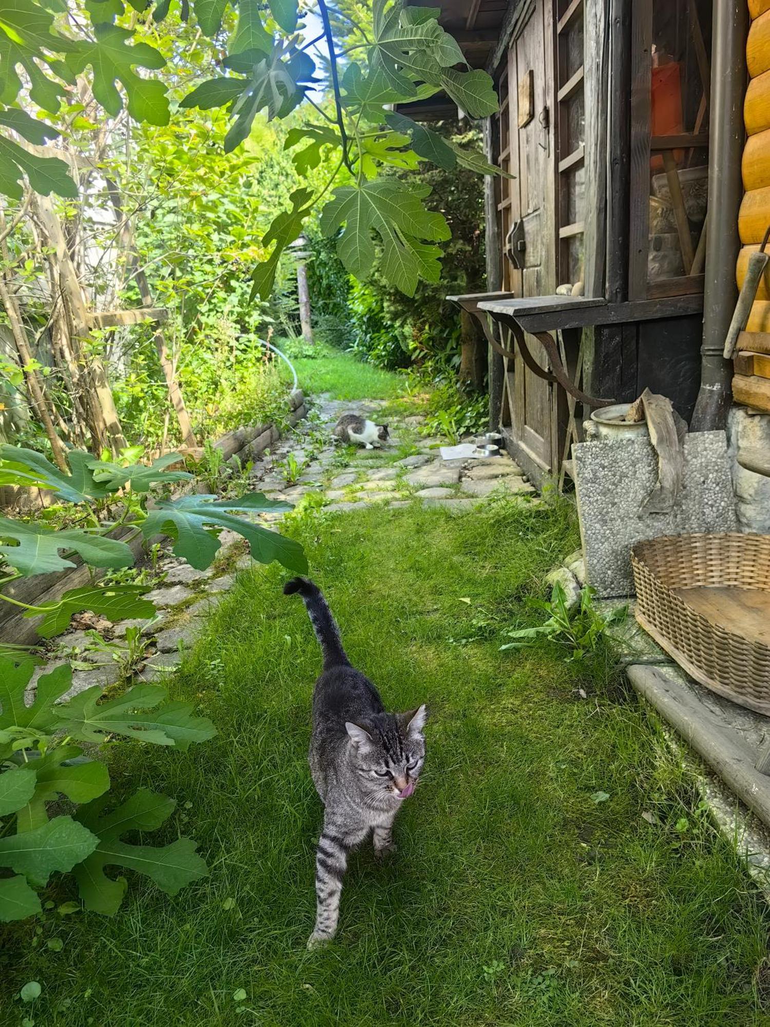 Hisa Hortenzija Luče Zewnętrze zdjęcie